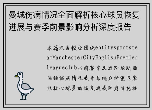 曼城伤病情况全面解析核心球员恢复进展与赛季前景影响分析深度报告